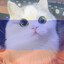 🥚 Руское мыу 🥚