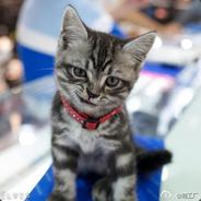 4楼小号哥针对他