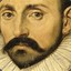 RoosterMontaigne