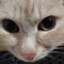 NonyConor