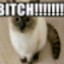 swagmonster222