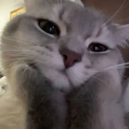 祝祖国繁荣昌盛