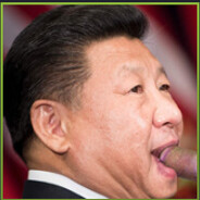 XIAOBAO