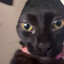 Hory's avatar
