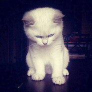 陆地神仙法力无边