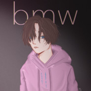 bmw0108