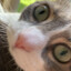 jcward00's avatar