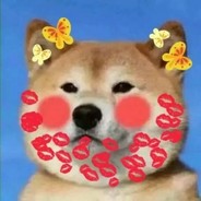 一只不洗脚的驴