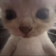 这世界太你妈坏了我操