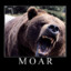 bear