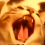 白头发炒黑头发