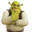 Shrek's Avatar