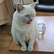 Ker