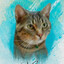 Sweetgamingcat
