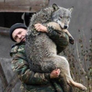 немецкий волк