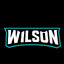 Mr.Wilson