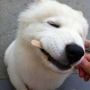 ✪希望队友会补枪