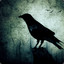 evilCrow