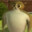 aroe