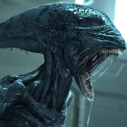 Arturo🦄Del🦄Noche🦄Albert