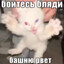 фофо