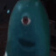 electric eel