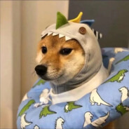 大残只是你的谎言