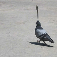 Fertoliban