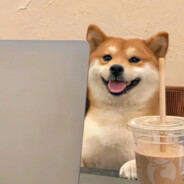 来自比奇堡的海绵