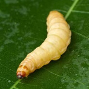 AI（已深度思考5秒）