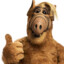 ALF