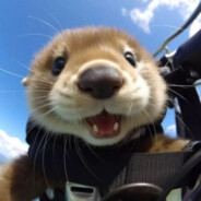 她说戴了不算给