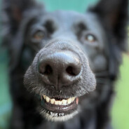 Chr1sPyy - steam id 76561197969824757