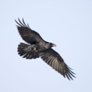 我覺得你的職業態度有問題