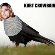 Kurt Crowbain