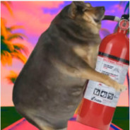 怎么会是Lin叫兽