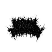 LL33ch - steam id 76561198396856506