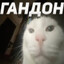 76561198140823566