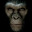 Core