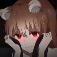 ᴛʜᴇ ᴘʀᴏʙʟᴇᴍ