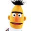 Bert