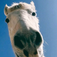 她说我会练成的