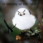 SOP