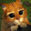 KaYu_Cha