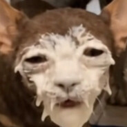 Bronson