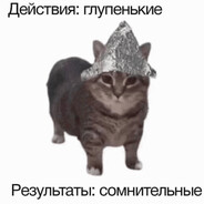 ☾☼