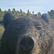 Don't kill me please