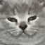 bivi_125's avatar