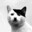 Kitler's avatar