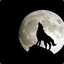 THE BIG BAD WOLF